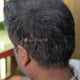Hair Fiber